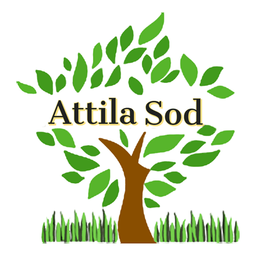 Attila Sod